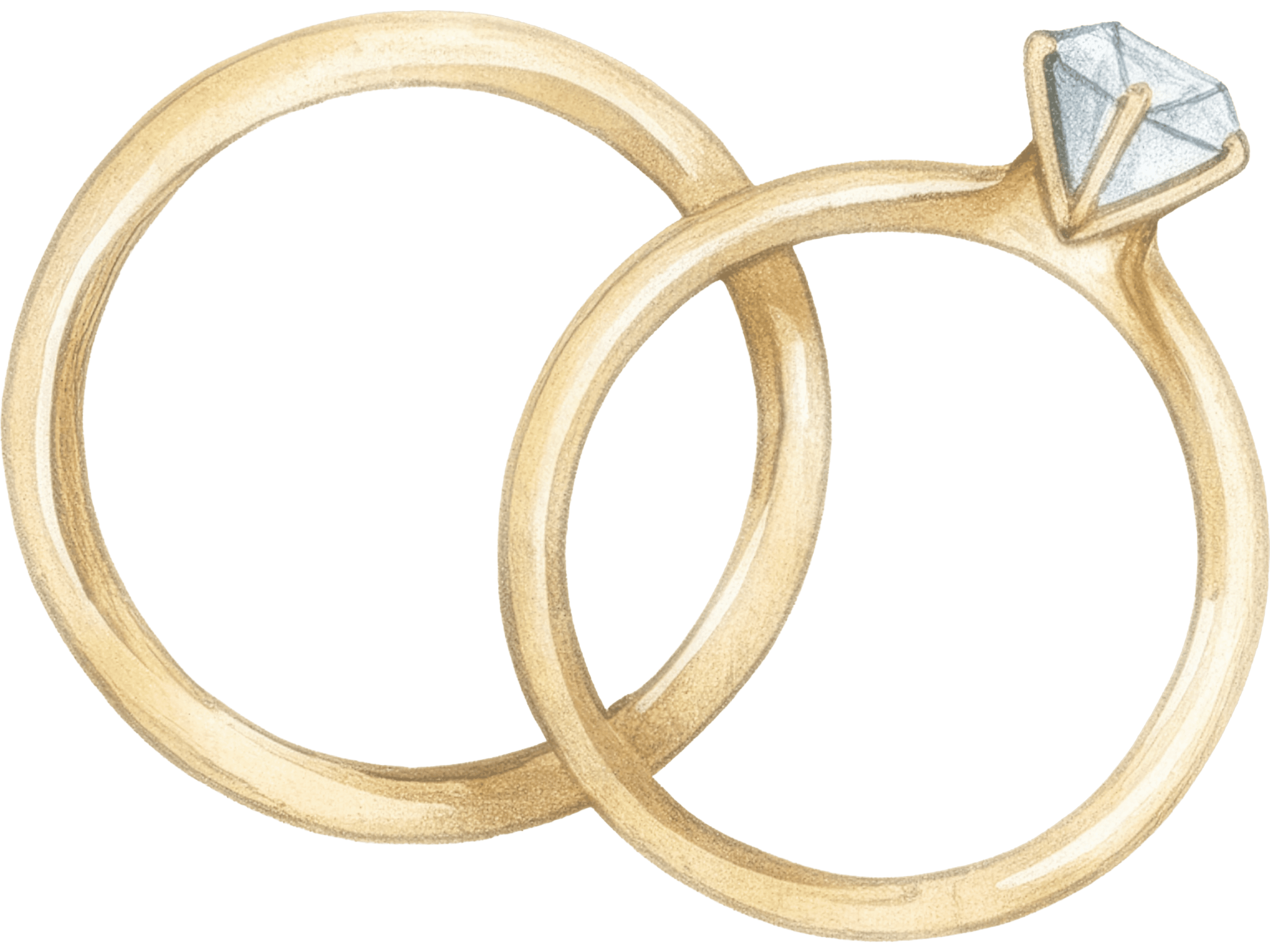 Watercolor wedding rings